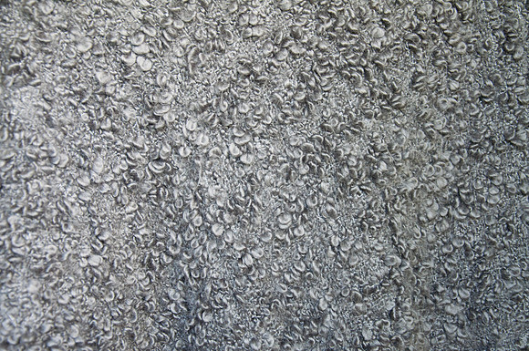gray blanket